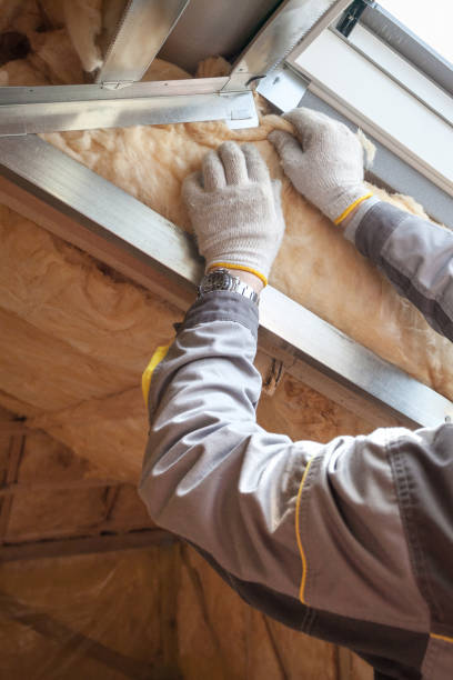 Best Insulation Installation Services in Iyanbito, NM